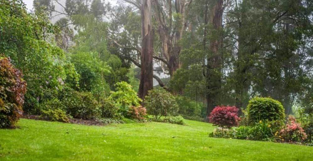 オリンダ Beechmont Garden Retreatゲストハウス エクステリア 写真