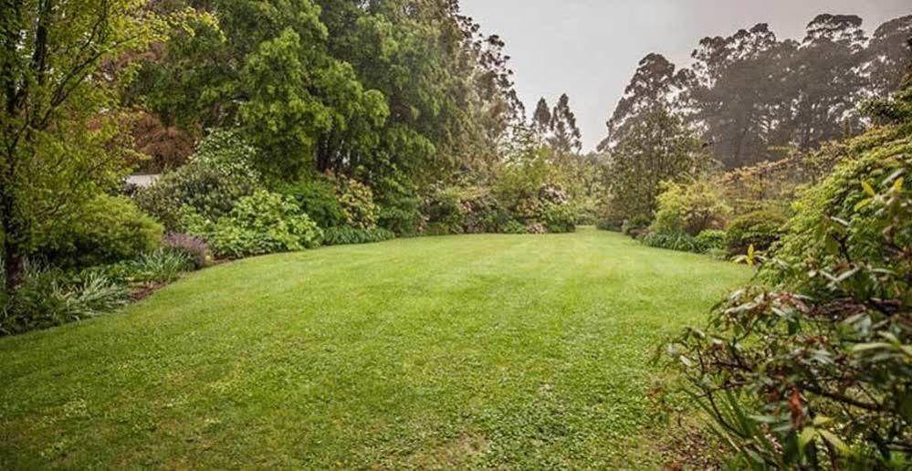 オリンダ Beechmont Garden Retreatゲストハウス エクステリア 写真