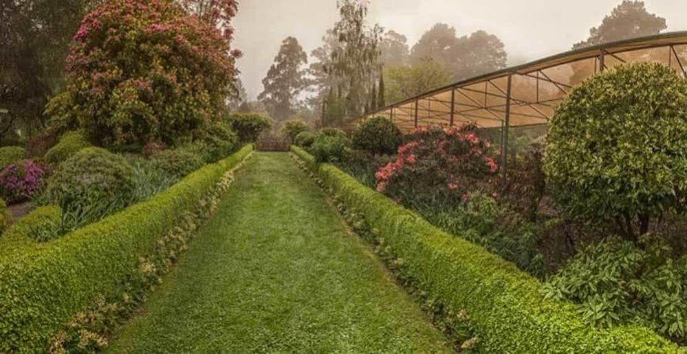オリンダ Beechmont Garden Retreatゲストハウス エクステリア 写真