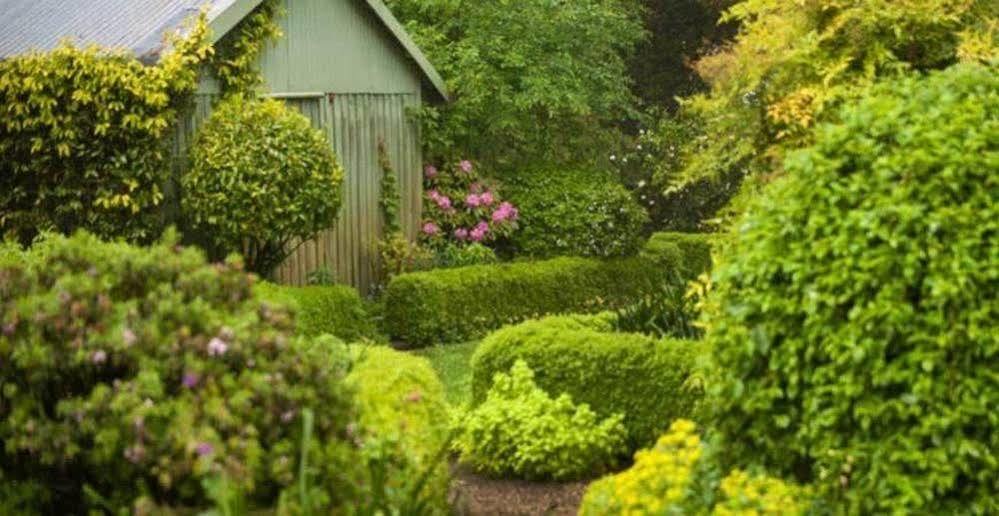 オリンダ Beechmont Garden Retreatゲストハウス エクステリア 写真