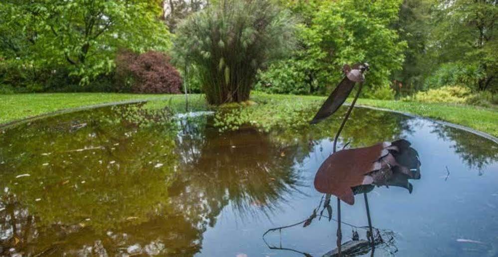 オリンダ Beechmont Garden Retreatゲストハウス エクステリア 写真